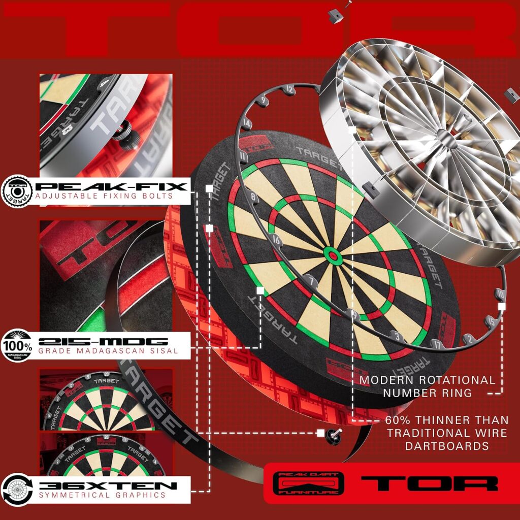 TOR DARTBOARD 画像4