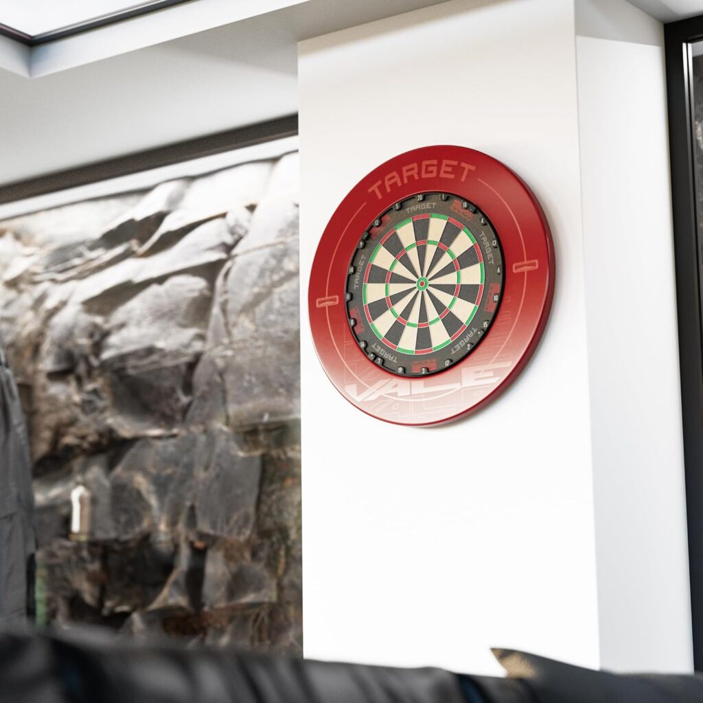 TOR DARTBOARD 画像6